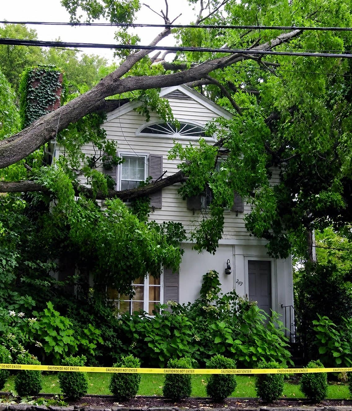 Emergency Tree Services
